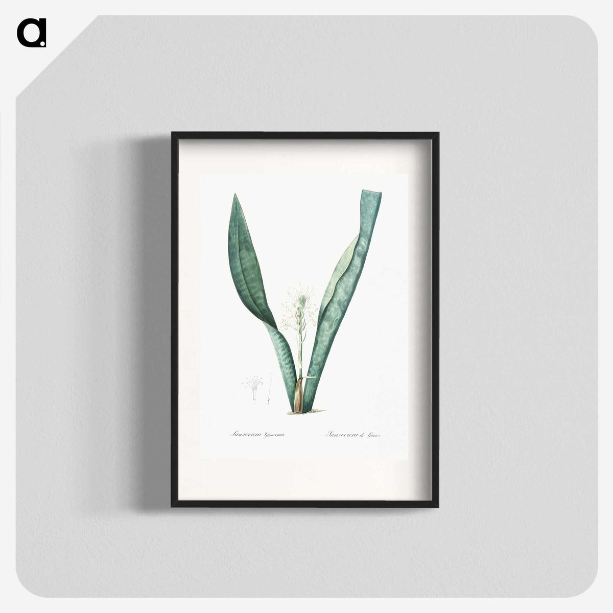 3-30_The-Lilies_blk