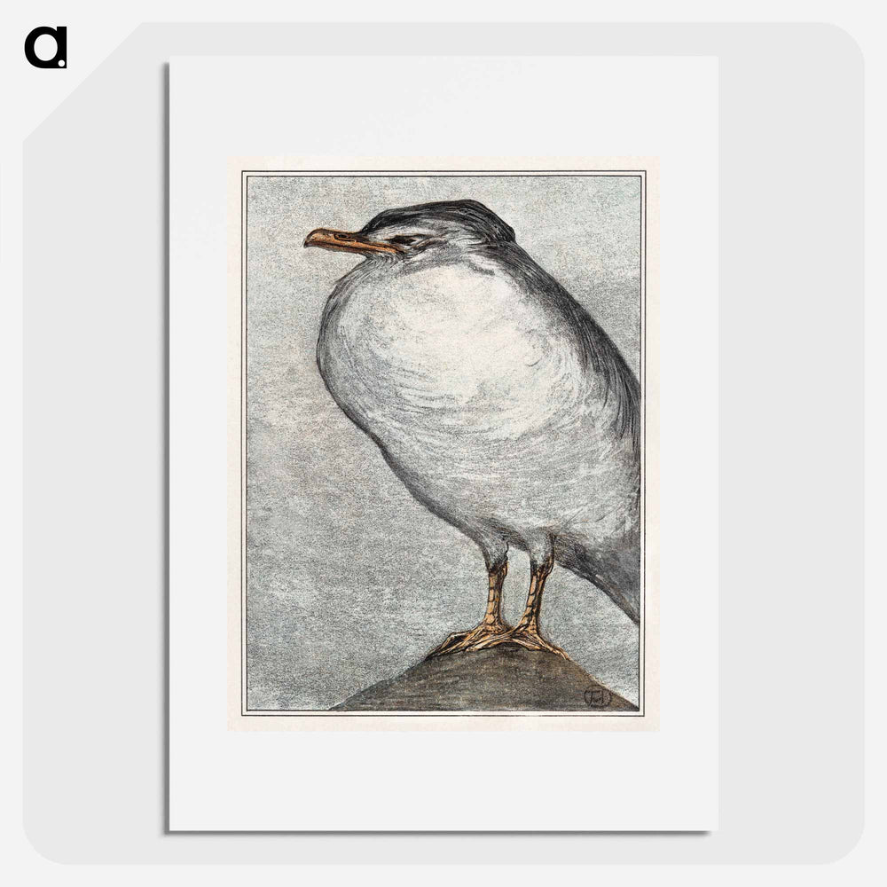 Zilvermeeuw - Theo van Hoytema Poster.