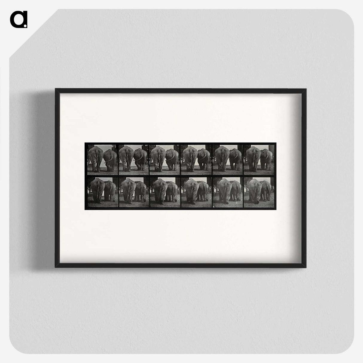 3-31_Eadweard-Muybridge_blk