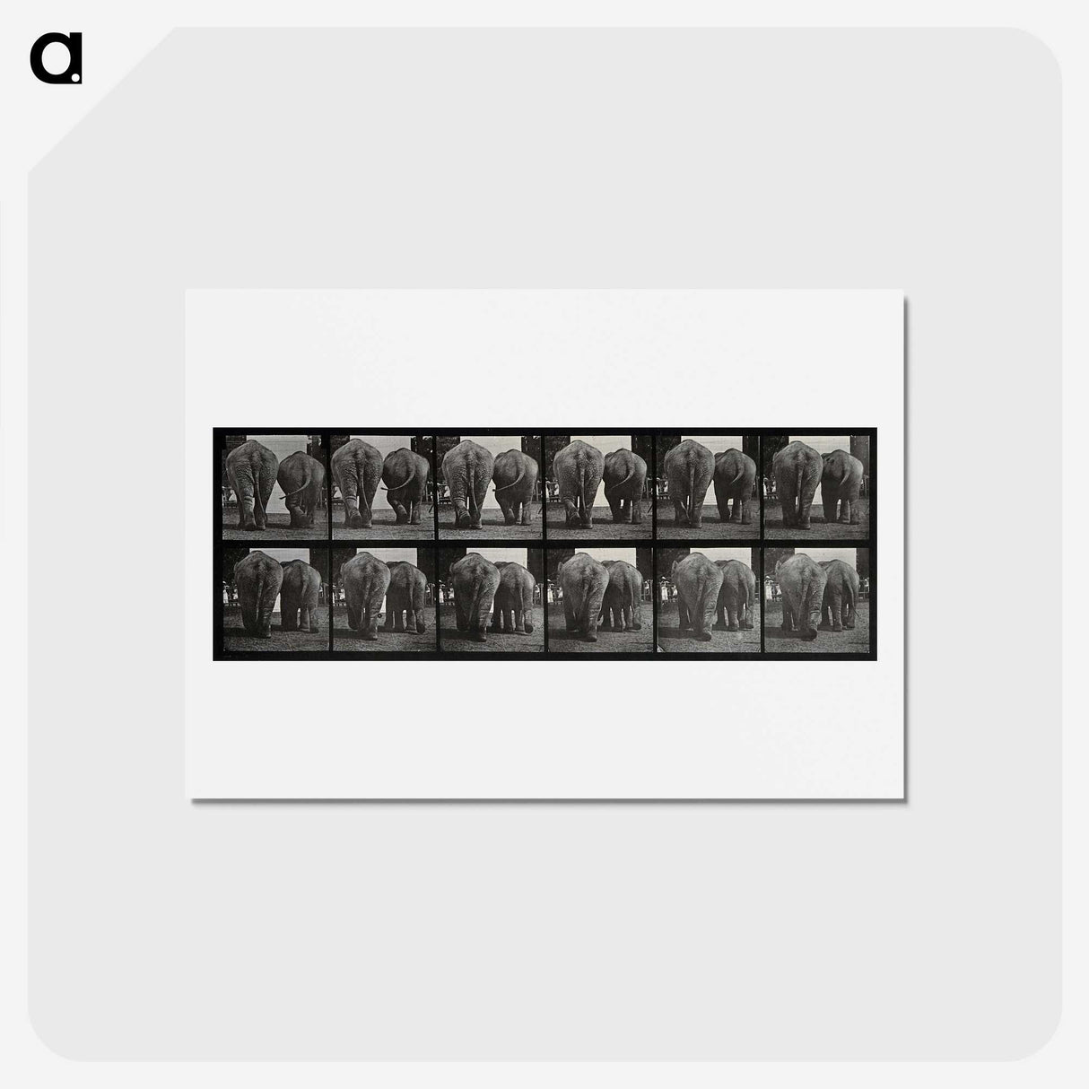 3-31_Eadweard-Muybridge_hagaki