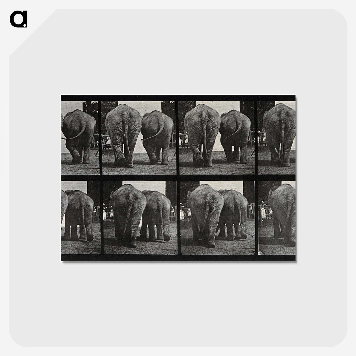 3-31_Eadweard-Muybridge_postcard