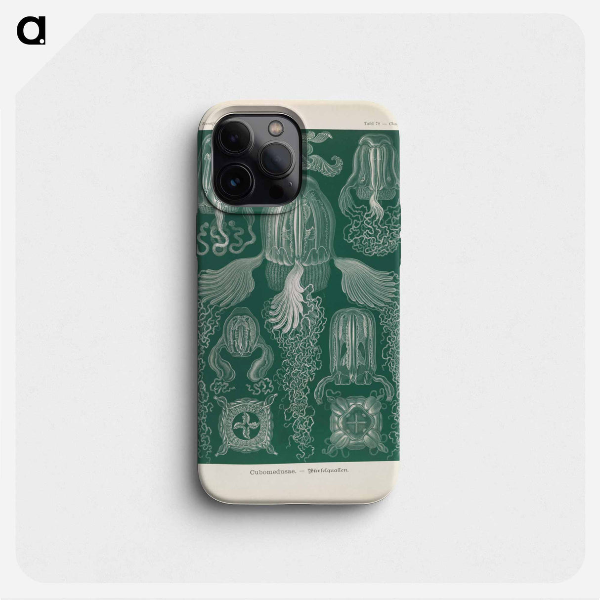 Marine life illustration - エルンスト ヘッケル Phone Case.
