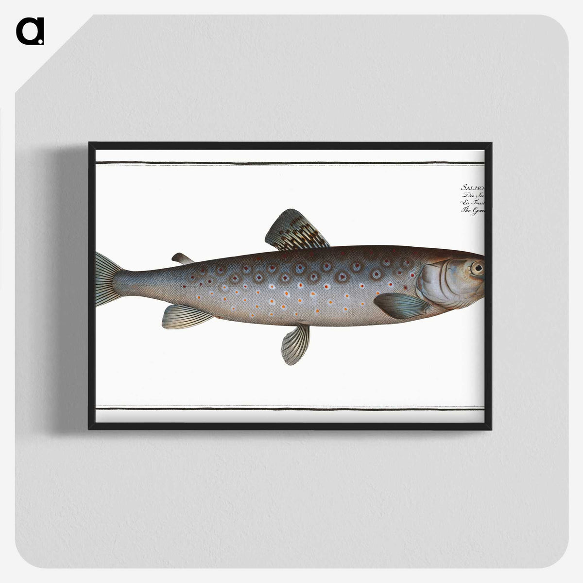 3-31_Ichtyologie-ou-Histoire-naturelle_blk-crop