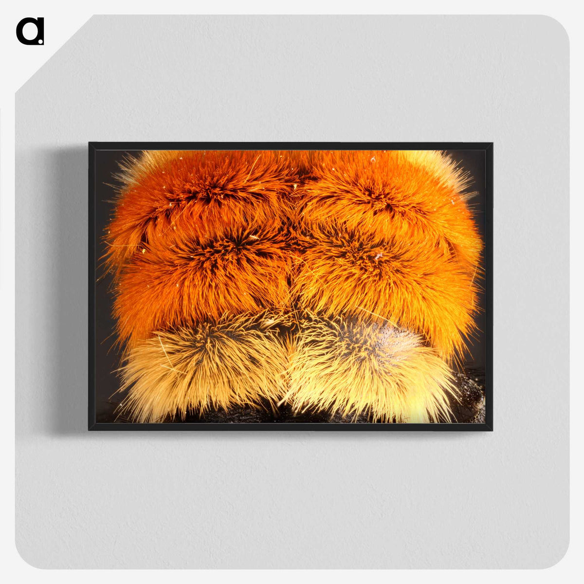 3-31_Insects-Unlocked-Project_blk-crop
