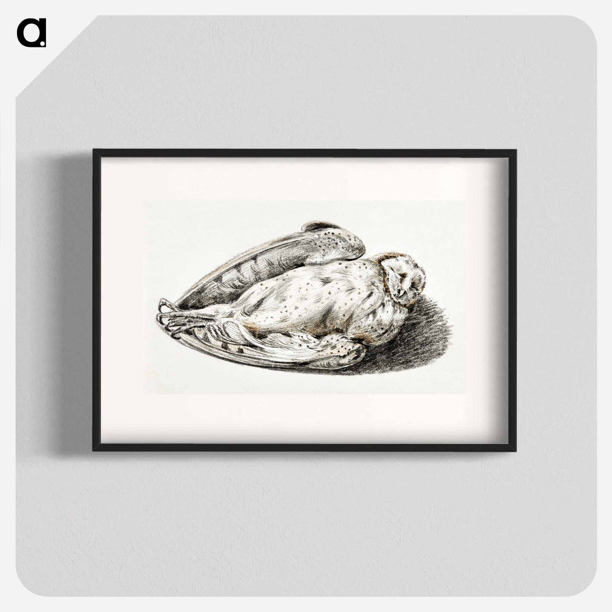 Dead owl - Jean Bernard Poster.