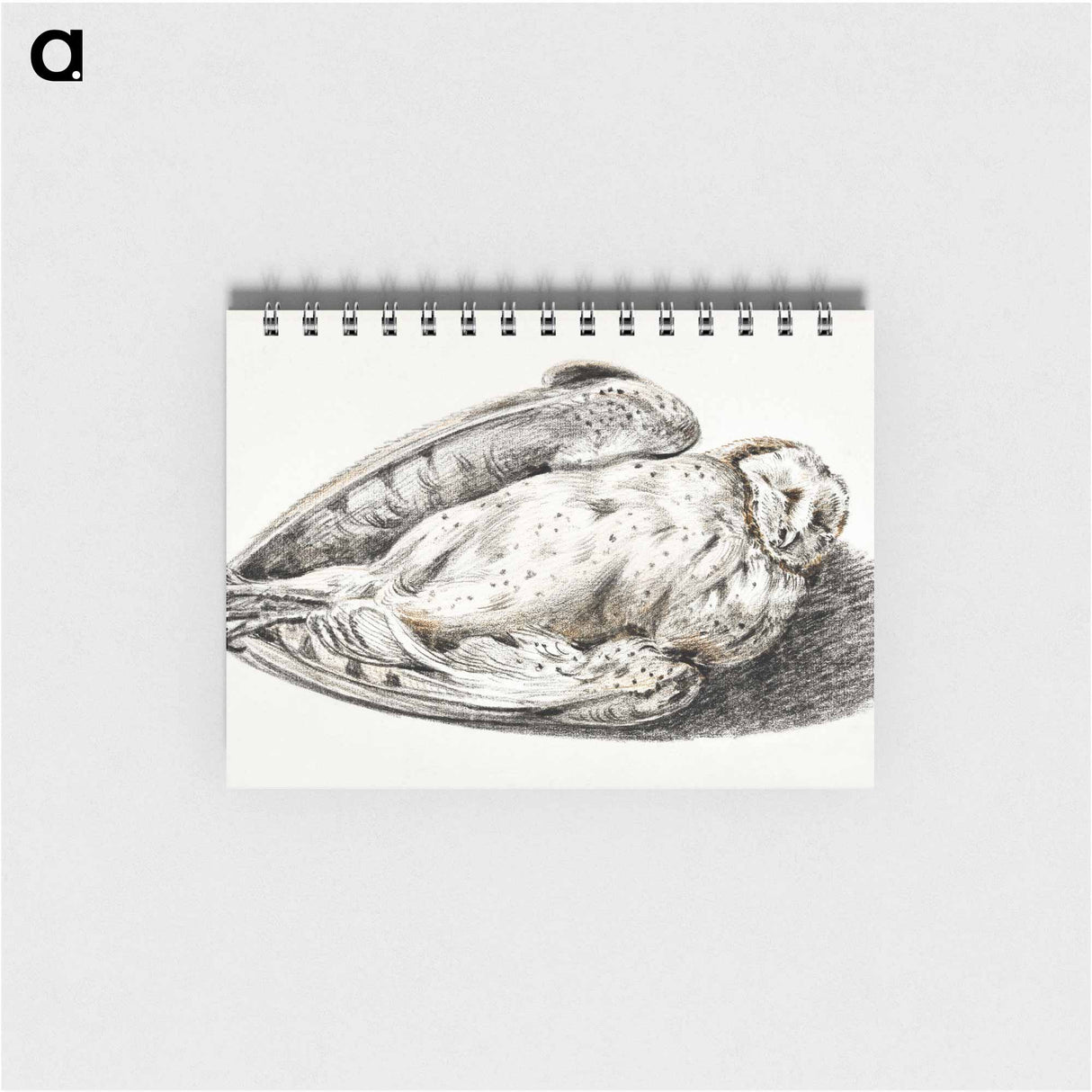 Dead owl - ジャン ベルナール Memo.