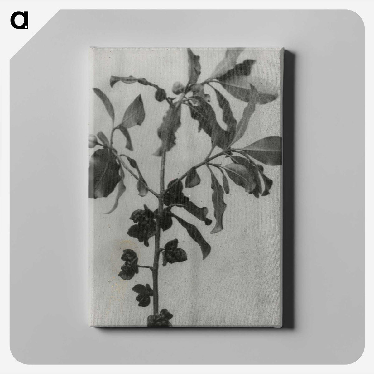 3-31_Leslie-Adkin_canvas