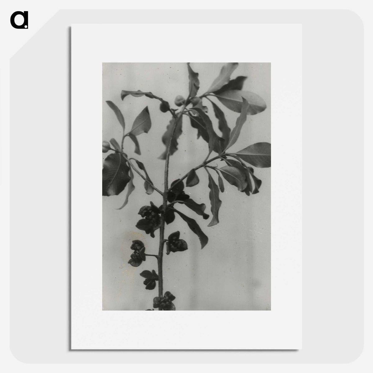 3-31_Leslie-Adkin_picture