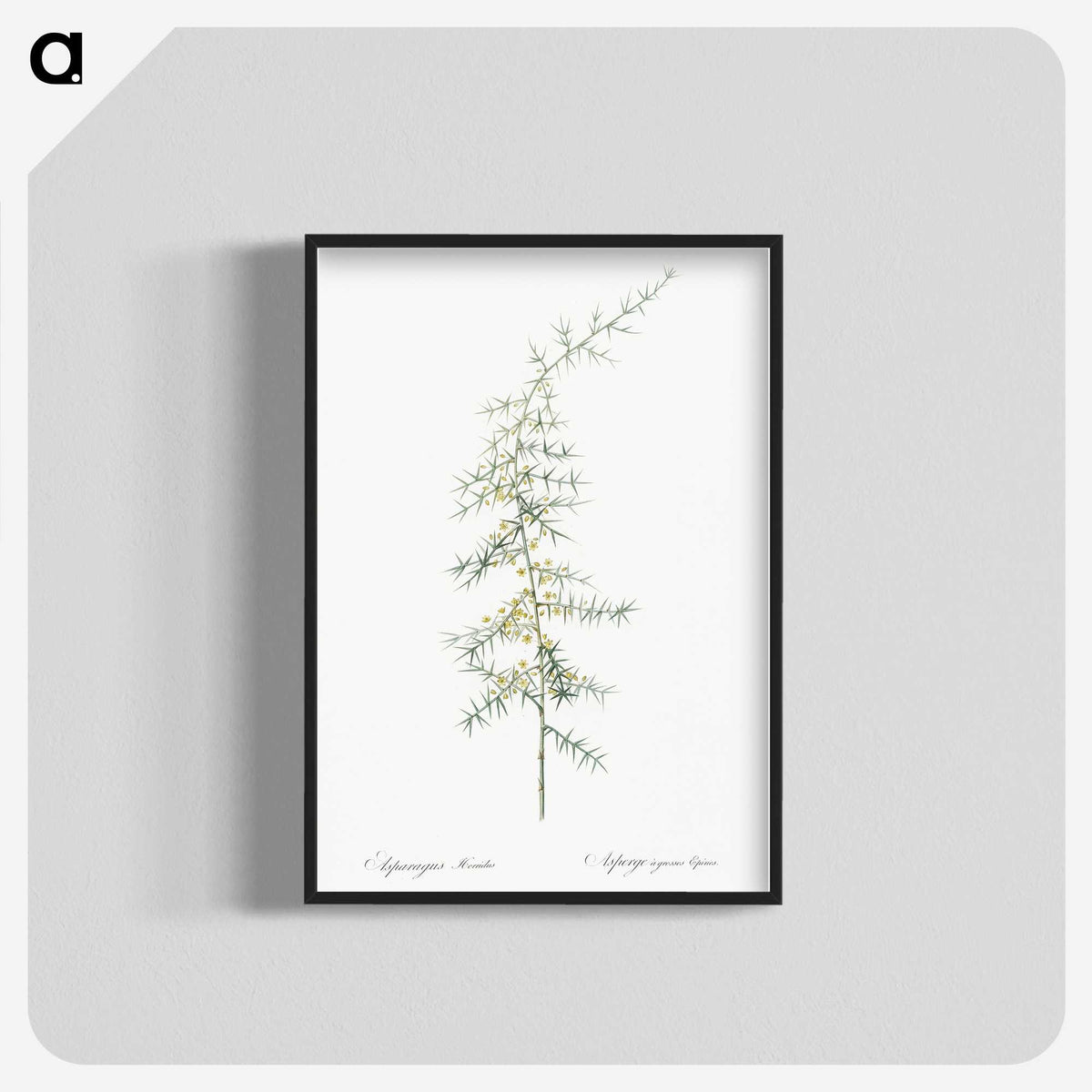 3-31_The-Lilies_blk-crop