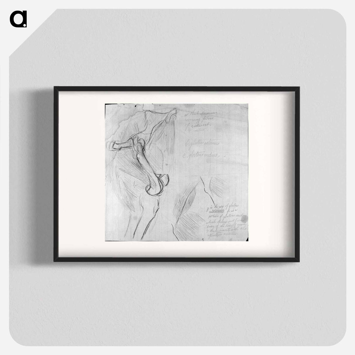 アートポスター-Anatomical drawing - トーマス エイキンズ Poster.