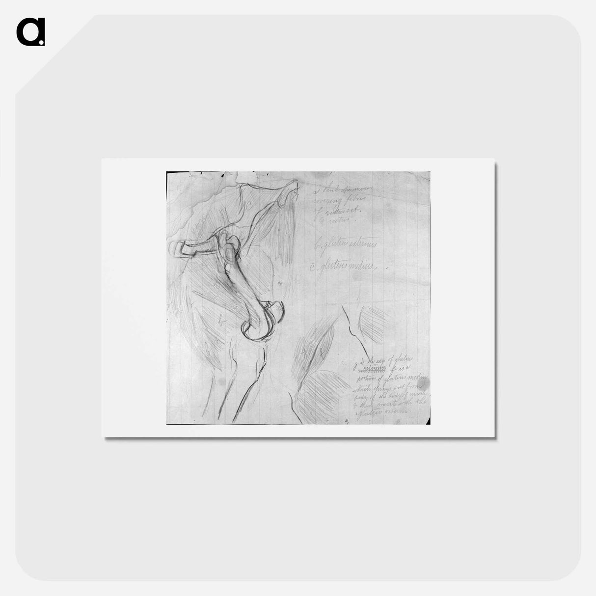 アートポストカード-Anatomical drawing - トーマス エイキンズ Postcard.