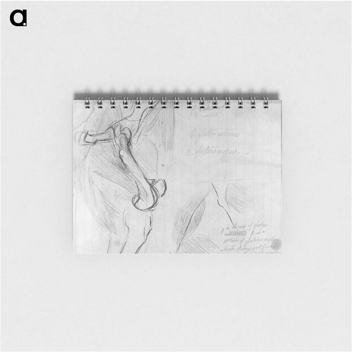 アートメモ帳-Anatomical drawing - トーマス エイキンズ Memo.