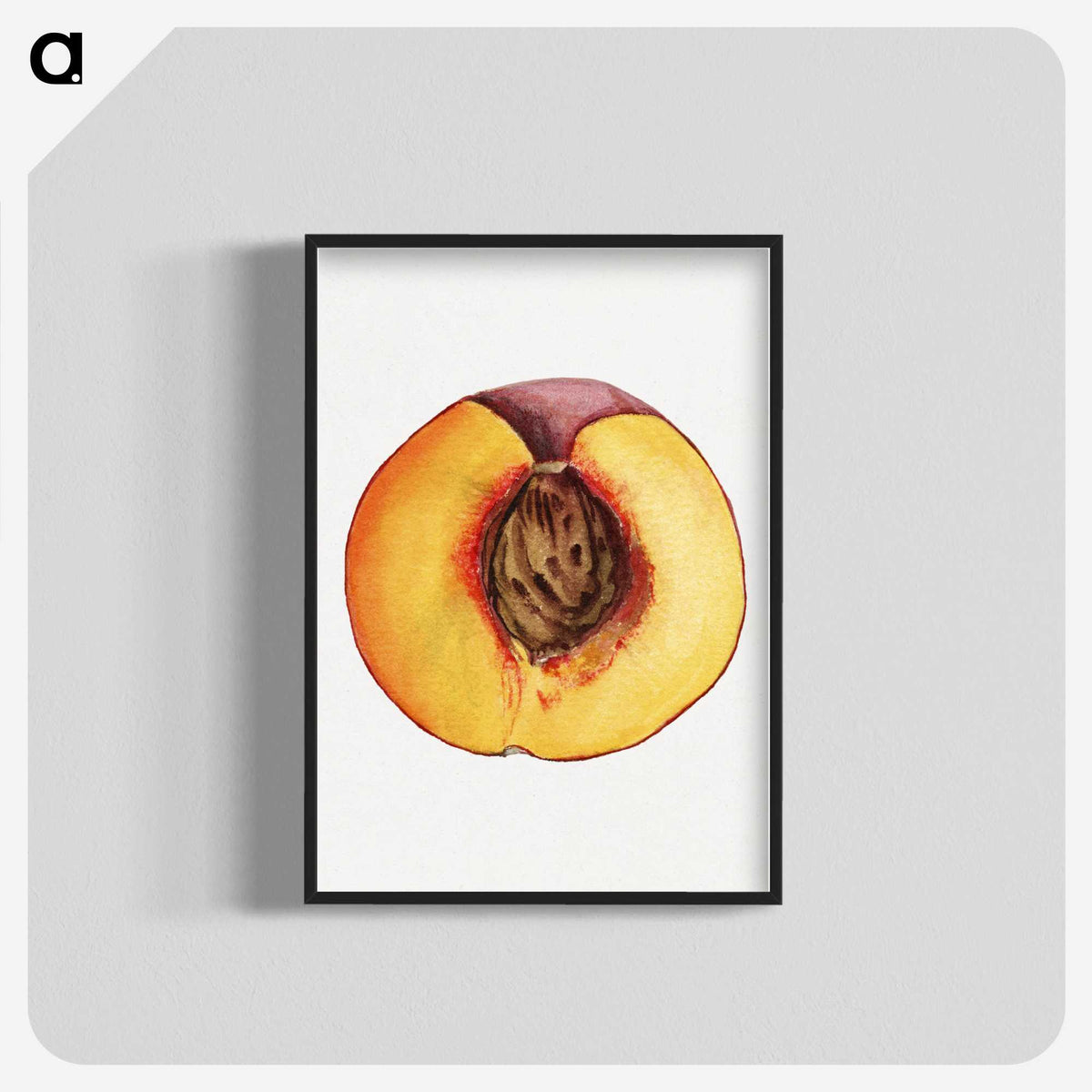 3-31_USDA-Watercolor-Fruit-Painting-Collection_blk-crop