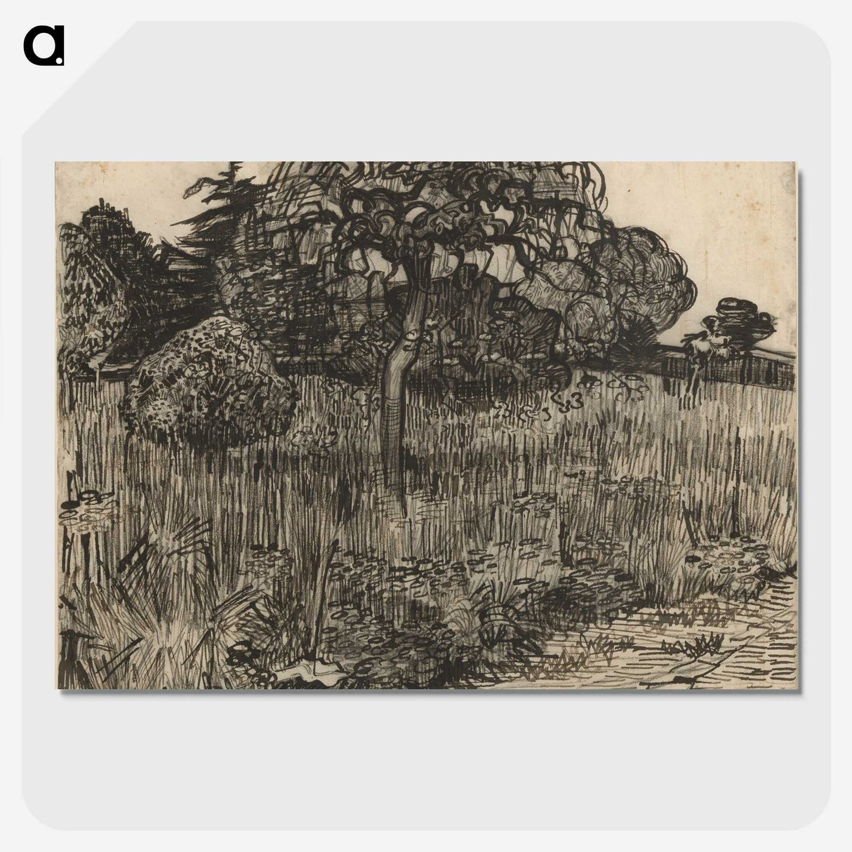 3-31_Vincent-van-Gogh_picture-crop