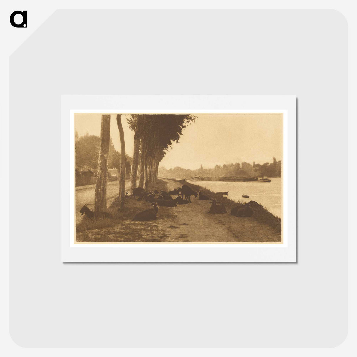 3-32_Alfred-Stieglitz_hagaki