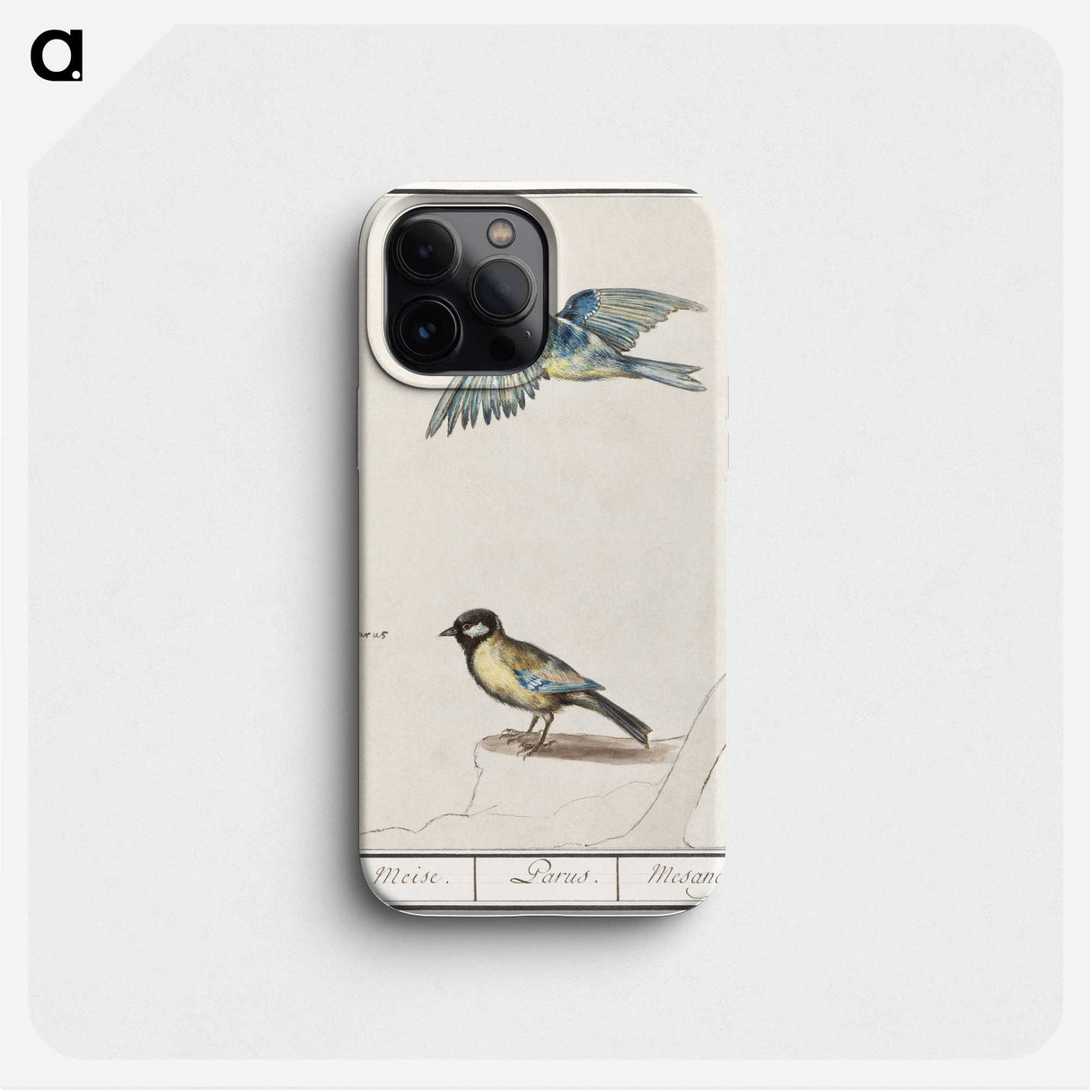 3-32_Anselmus-Boetius-de-Boodt_phone