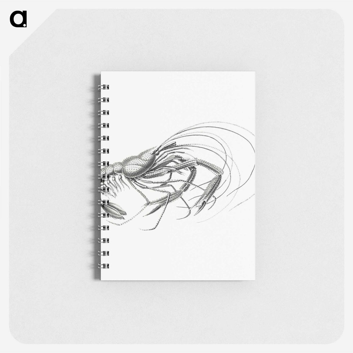 3-32_Ernst-Haeckel_memo