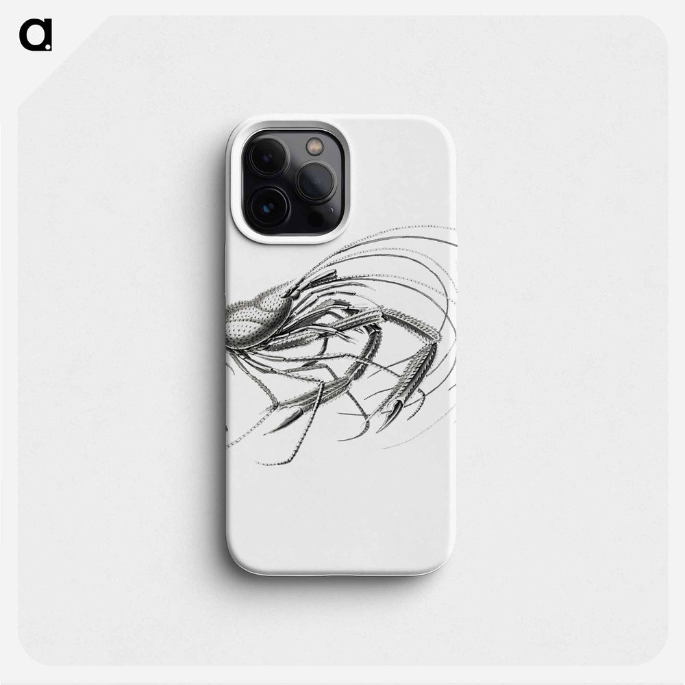 Vintage prawn marine life illustration - エルンスト ヘッケル Phone Case.