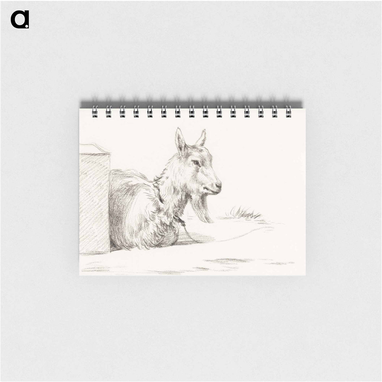 Goat half lying in a pen - ジャン ベルナール Memo.