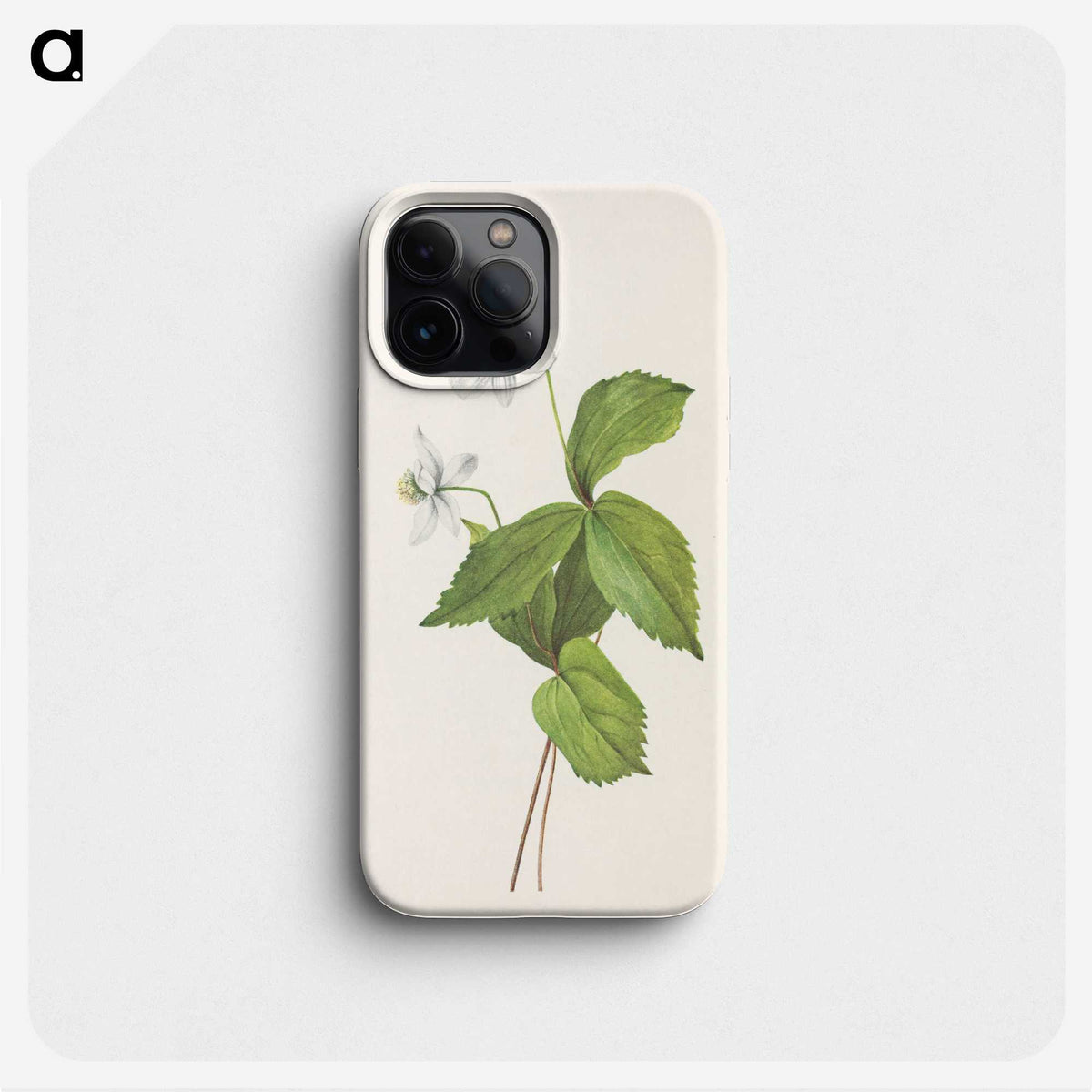 3-32_Mary-Vaux-Walcott_phone