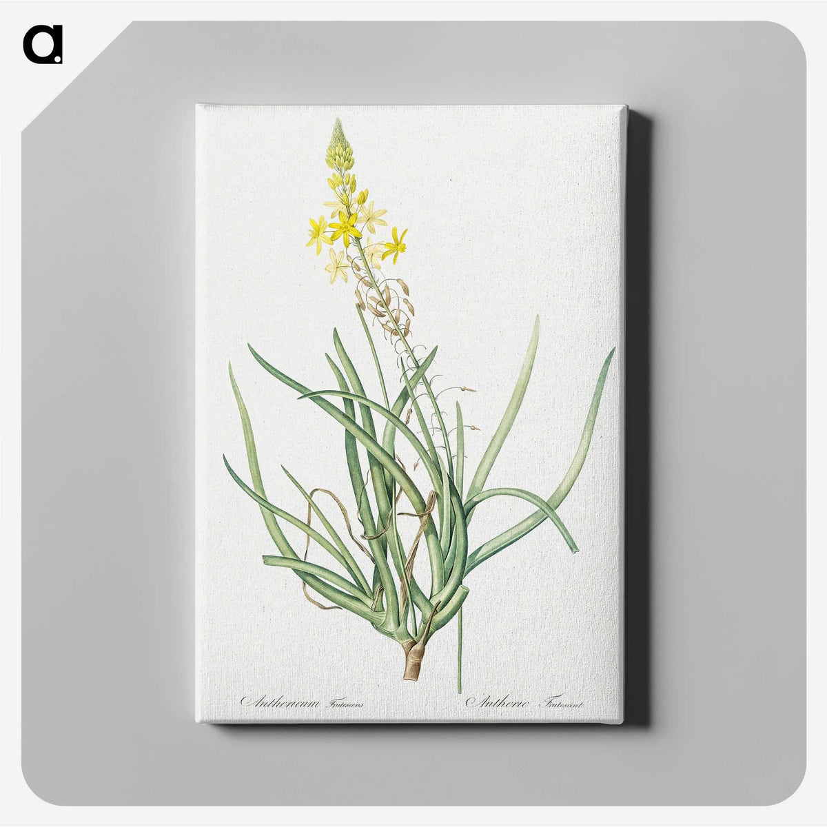 3-32_The-Lilies_canvas