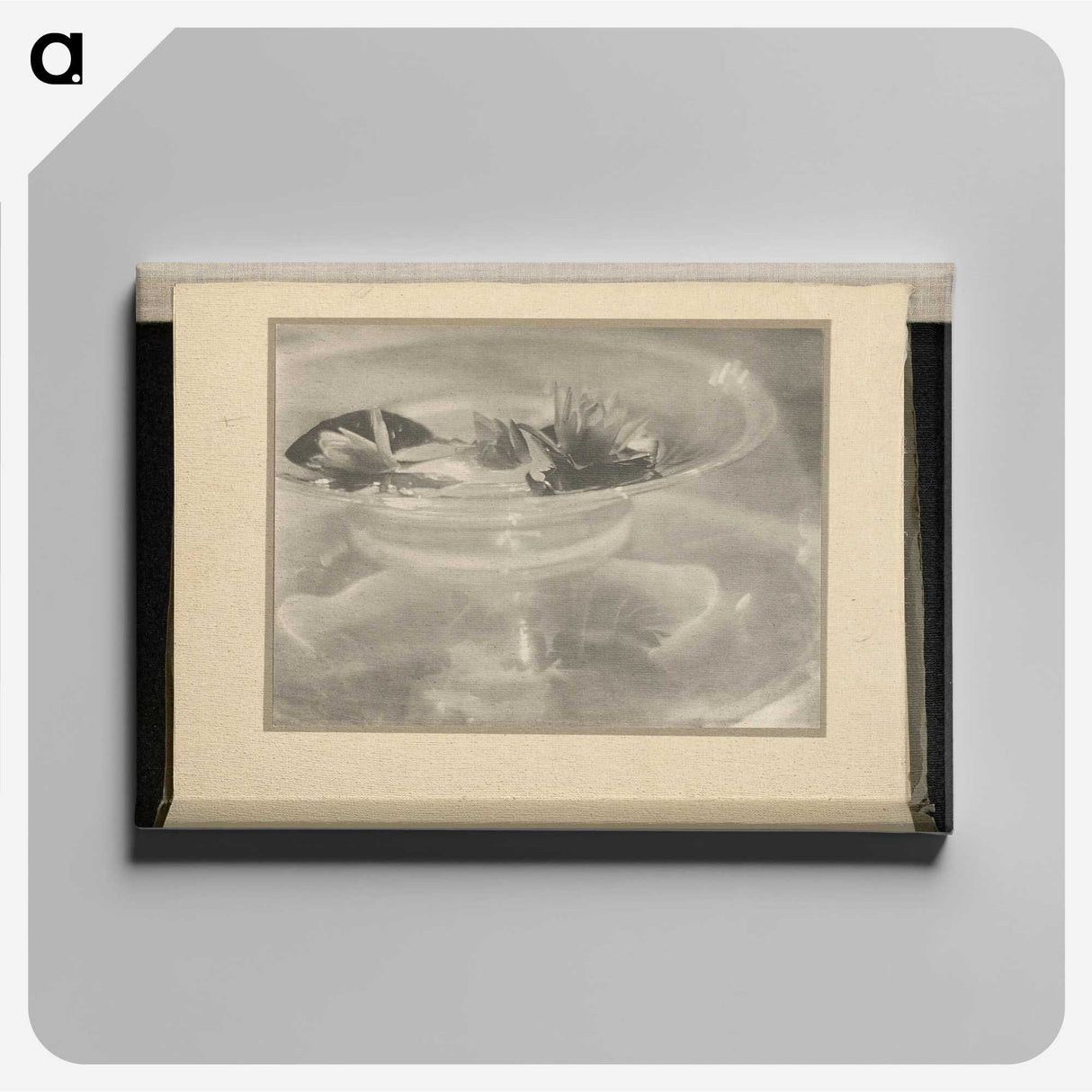 3-33_Alfred-Stieglitz_canvas