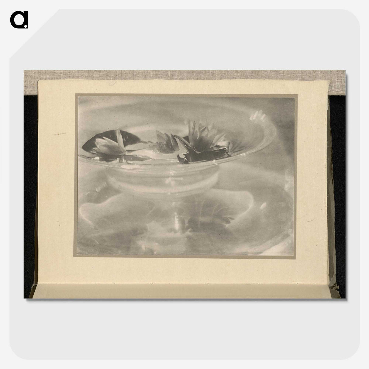 3-33_Alfred-Stieglitz_picture-crop
