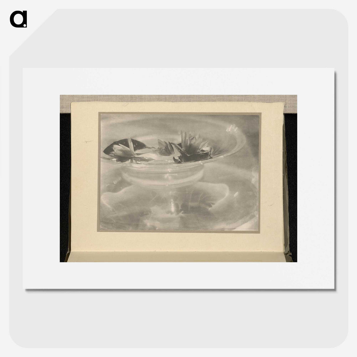 3-33_Alfred-Stieglitz_picture