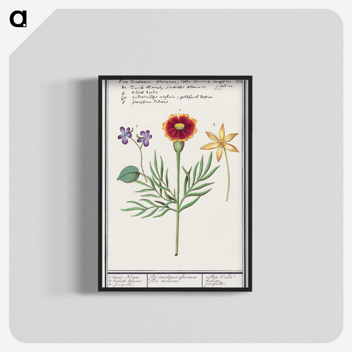 3-33_Anselmus-Boetius-de-Boodt_blk-crop