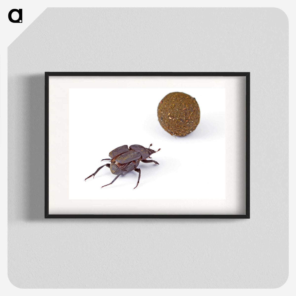 3-33_Insects-Unlocked-Project_blk