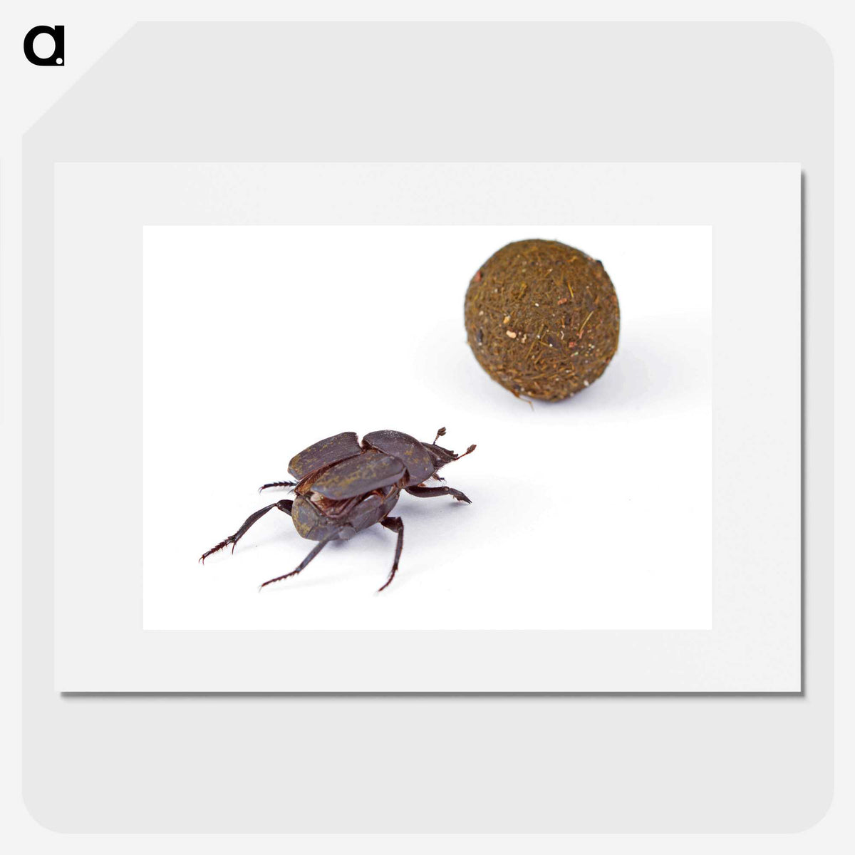 3-33_Insects-Unlocked-Project_picture