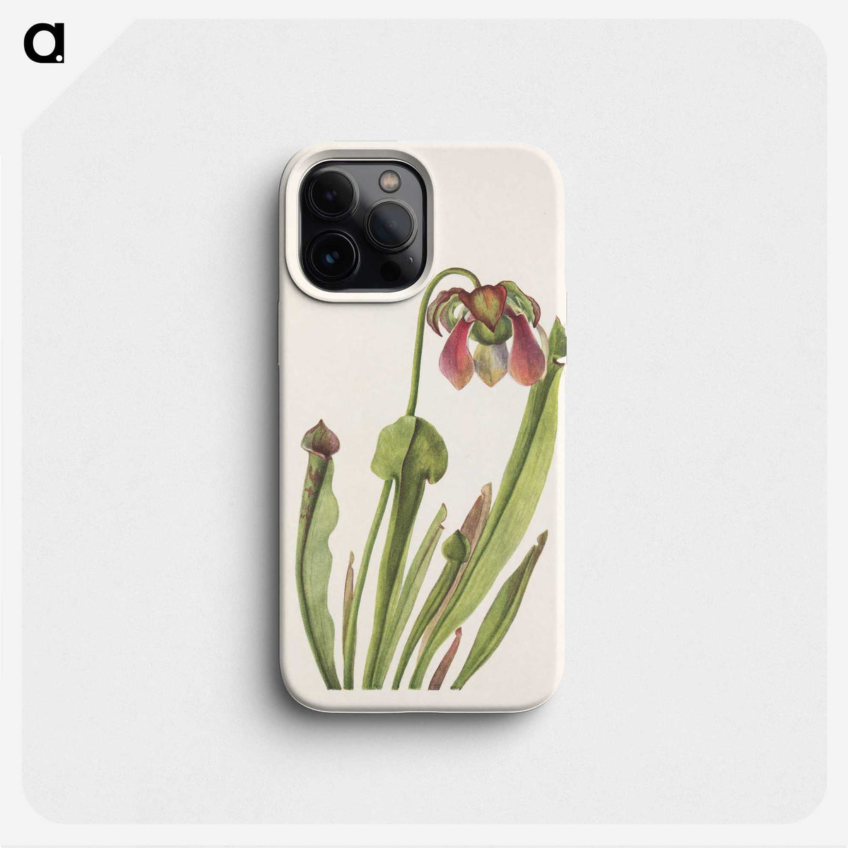 3-33_Mary-Vaux-Walcott_phone