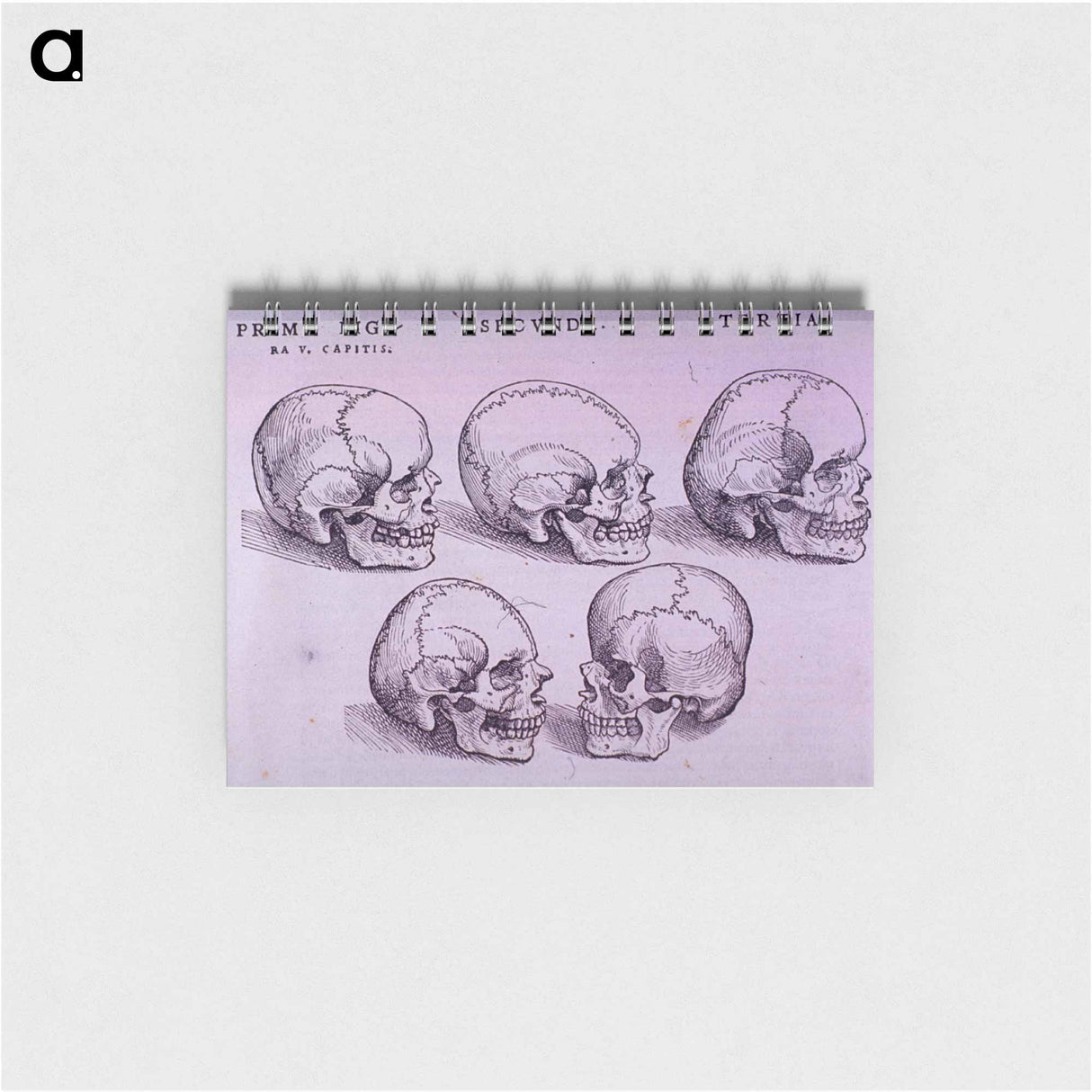 アートメモ帳-Bone Plate: Five Malformations of the Skull
- 国立医学図書館 Memo.