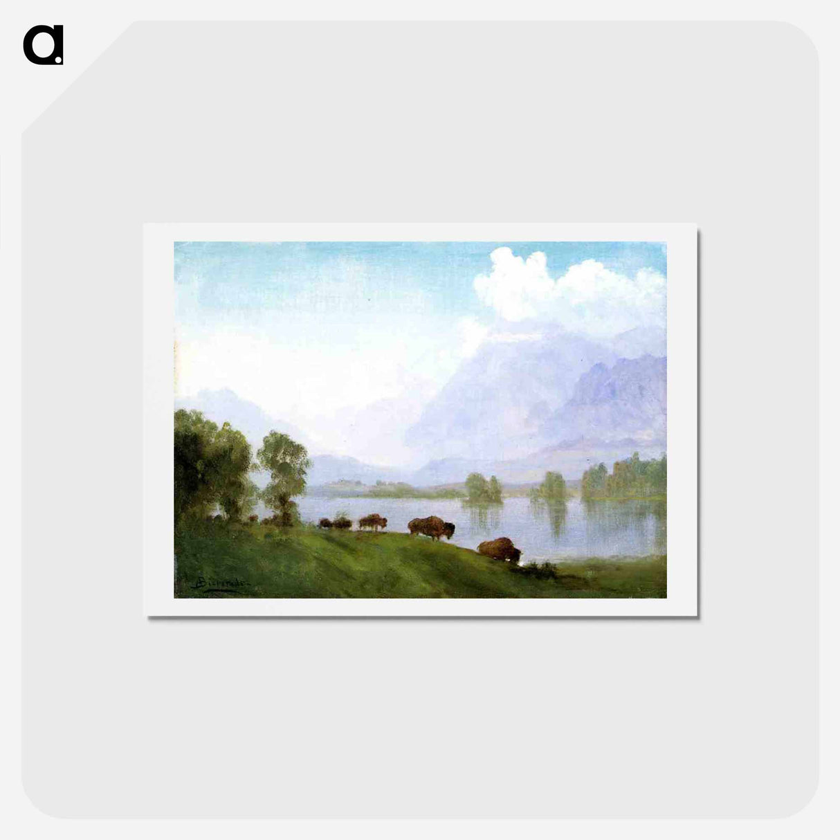 アートポストカード-Buffalo Country - アルバート ビアスタット Postcard.