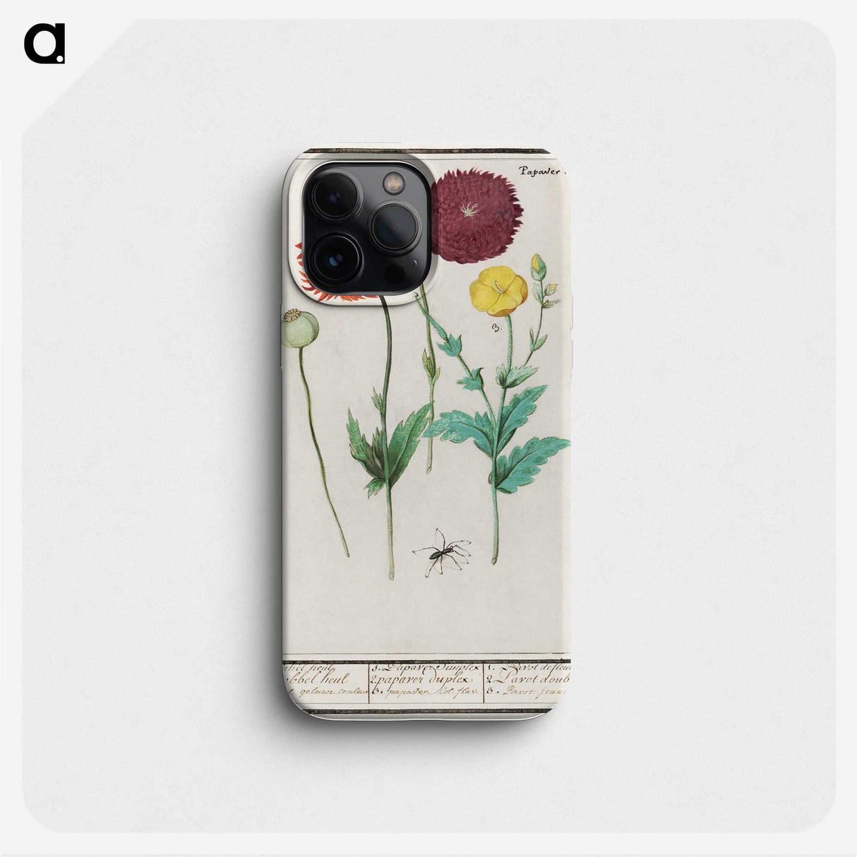 3-34_Anselmus-Boetius-de-Boodt_phone