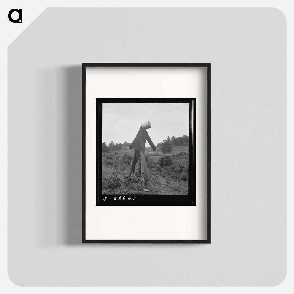 Scarecrow on a newly cleared field with stumps near Roxboro, North Carolina - Dorothea Lange Poster.