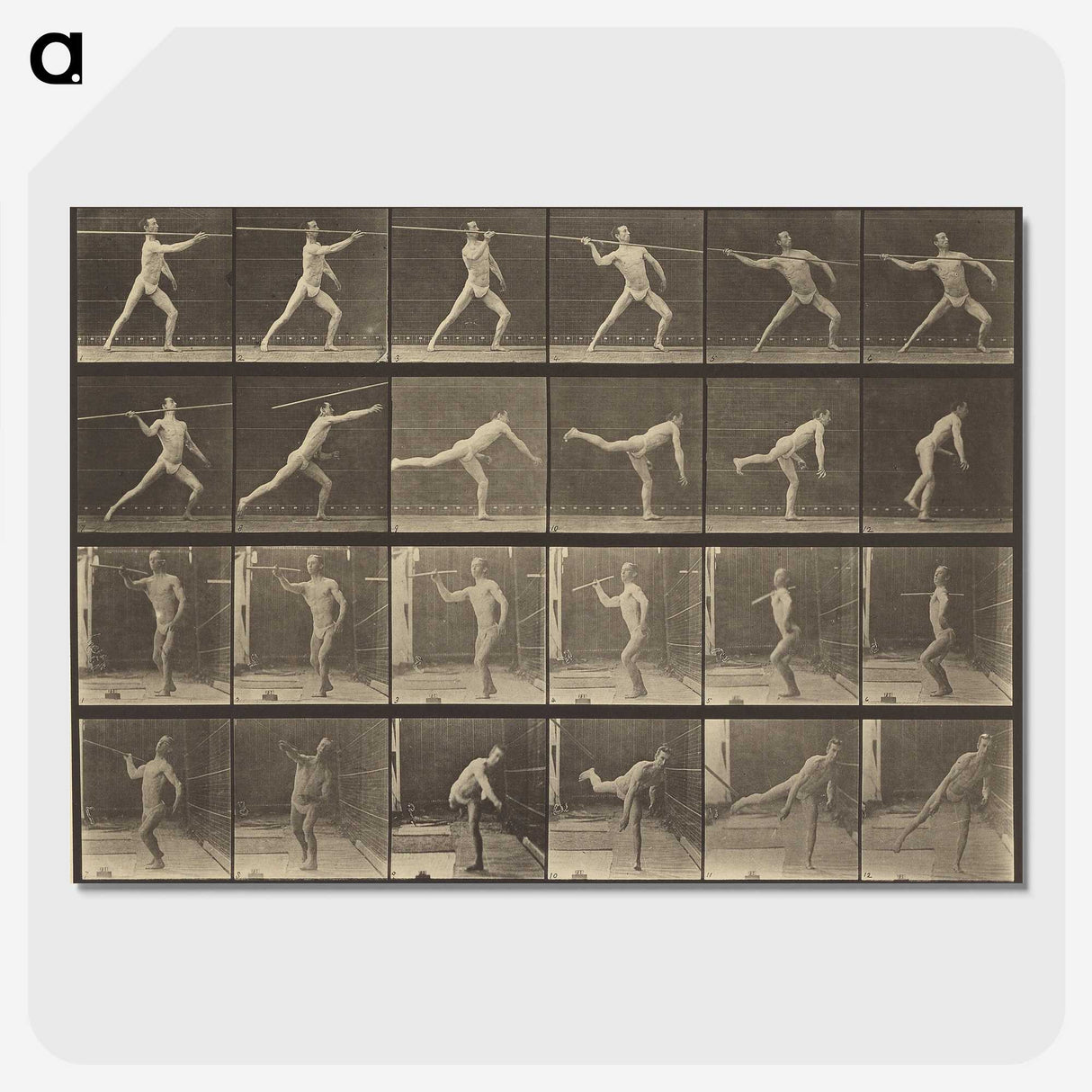 3-34_Eadweard-Muybridge_picture-crop