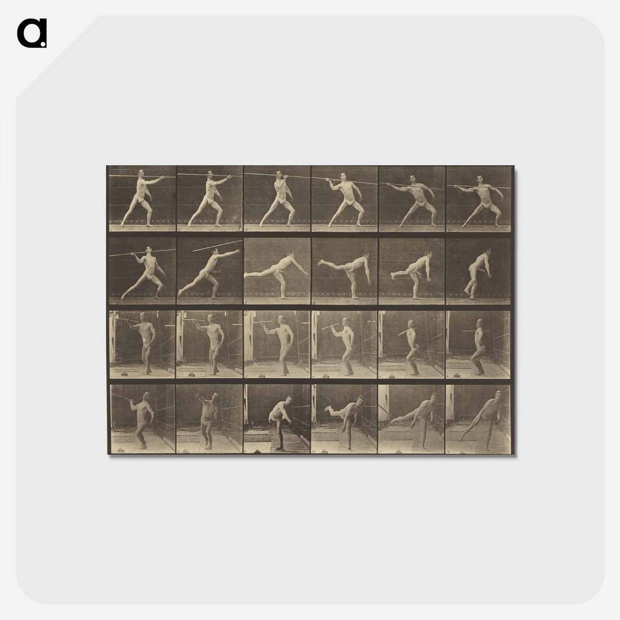アートポストカード-Animal Locomotion
- エドワード マイブリッジ Postcard.