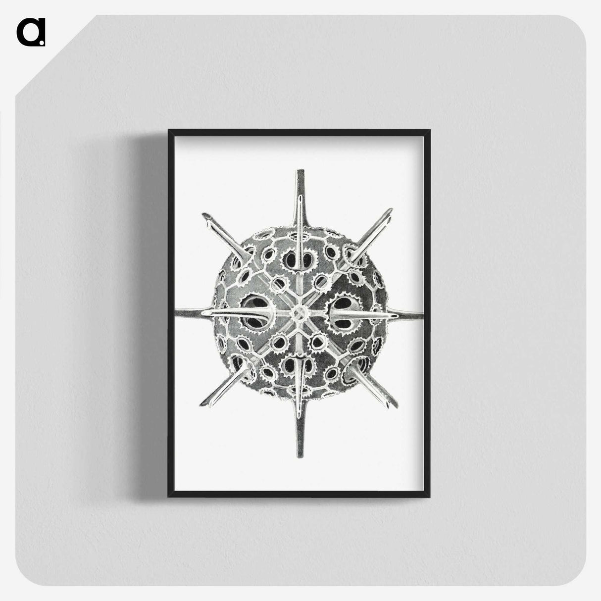 3-34_Ernst-Haeckel_blk-crop