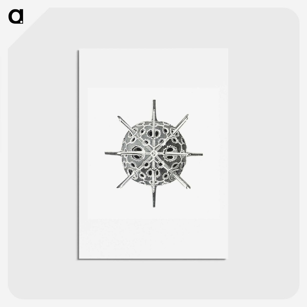 3-34_Ernst-Haeckel_hagaki
