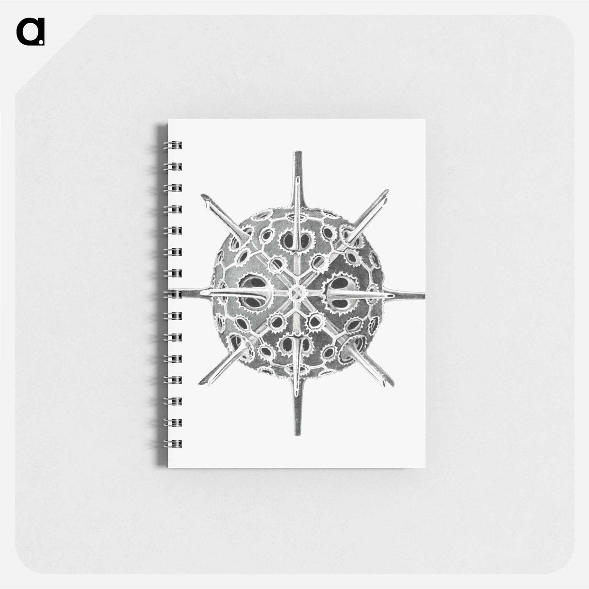 アートメモ帳-Vintage marine life illustration on white background - エルンスト ヘッケル Memo.