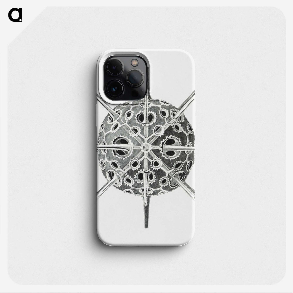3-34_Ernst-Haeckel_phone