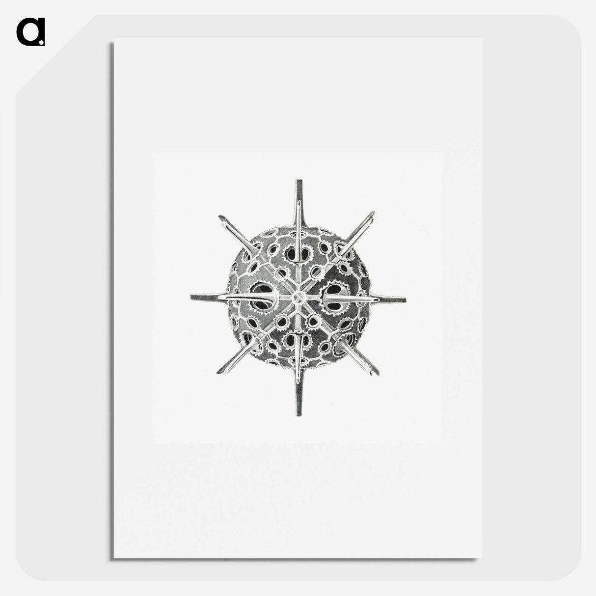 3-34_Ernst-Haeckel_picture