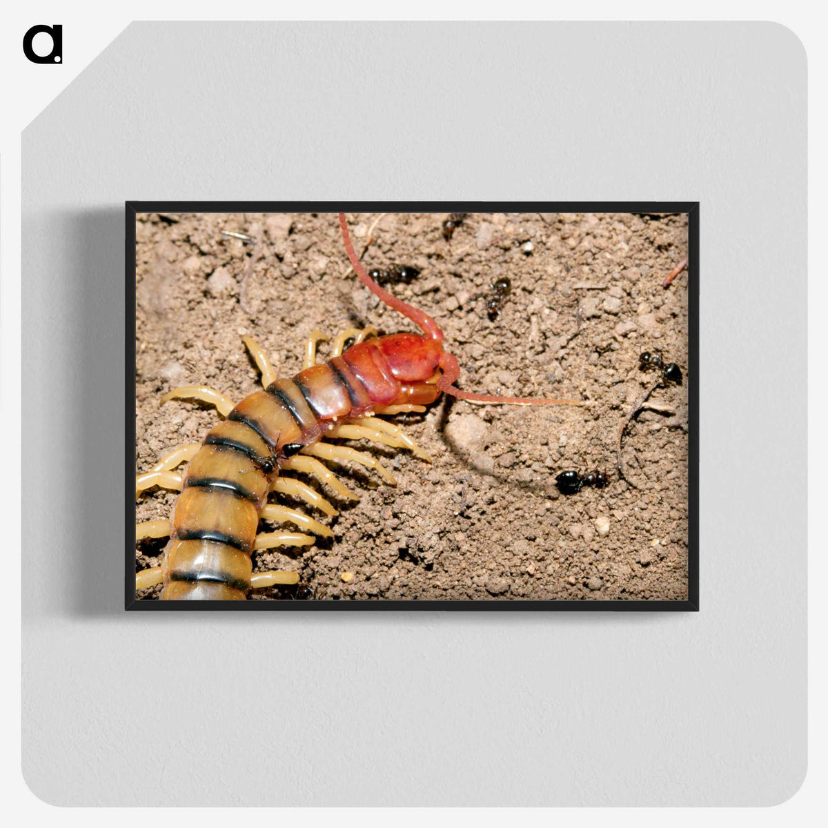 3-34_Insects-Unlocked-Project_blk-crop