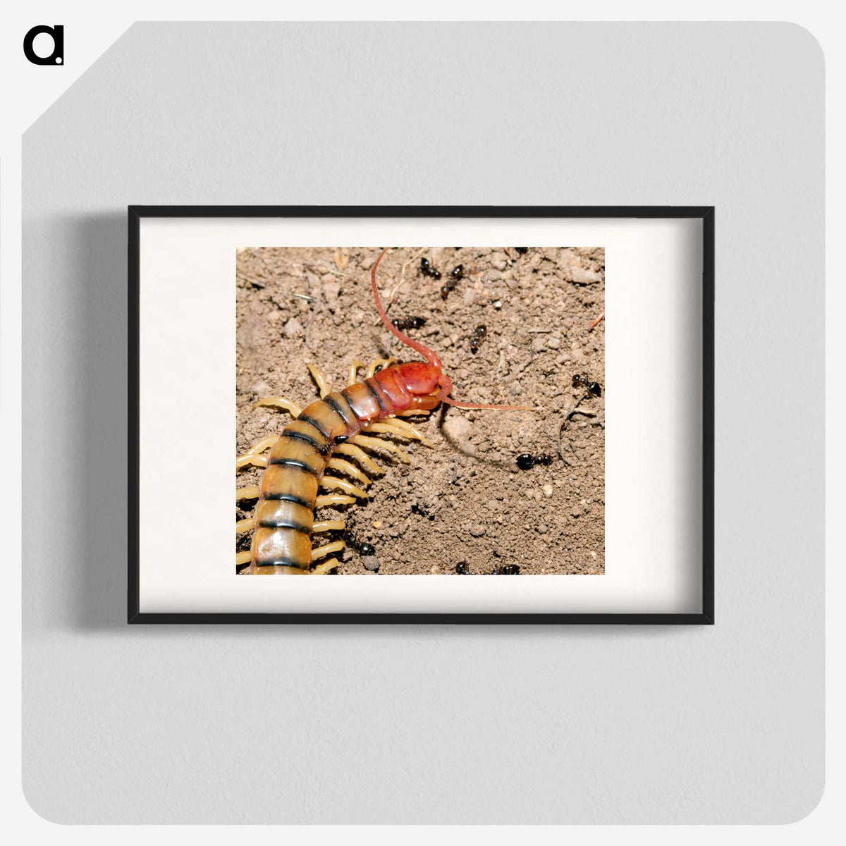 3-34_Insects-Unlocked-Project_blk