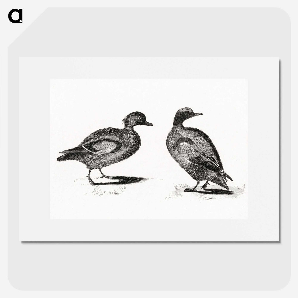 3-34_Johan-Teyler_picture