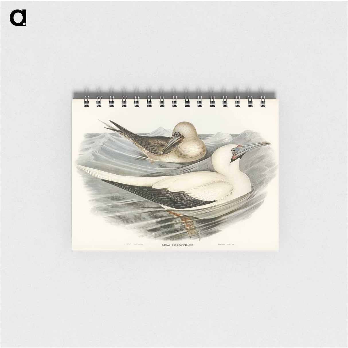 3-34_John-Gould_memo