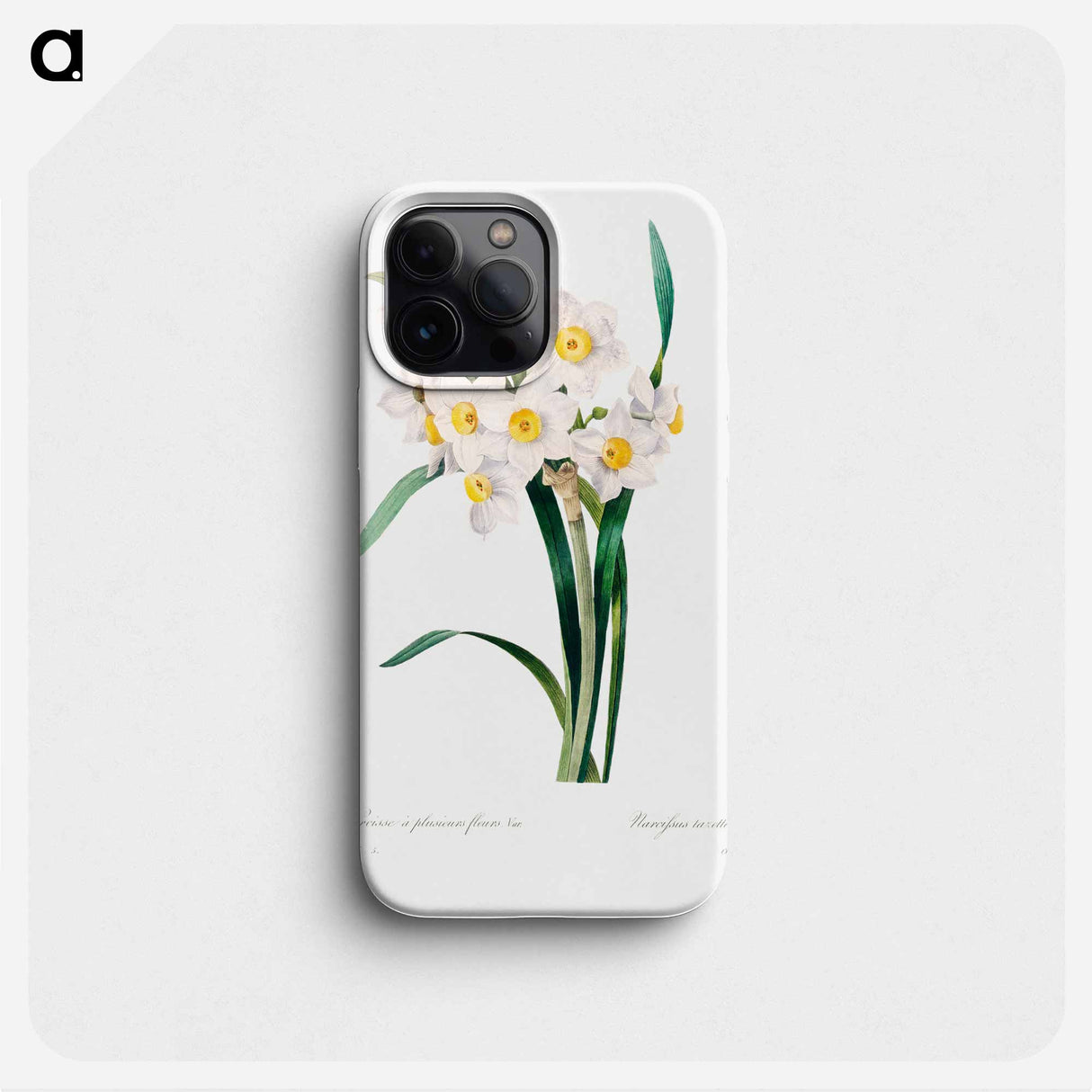 Chinese sacred lily - ピエール ジョゼフ ルドゥーテ Phone Case.