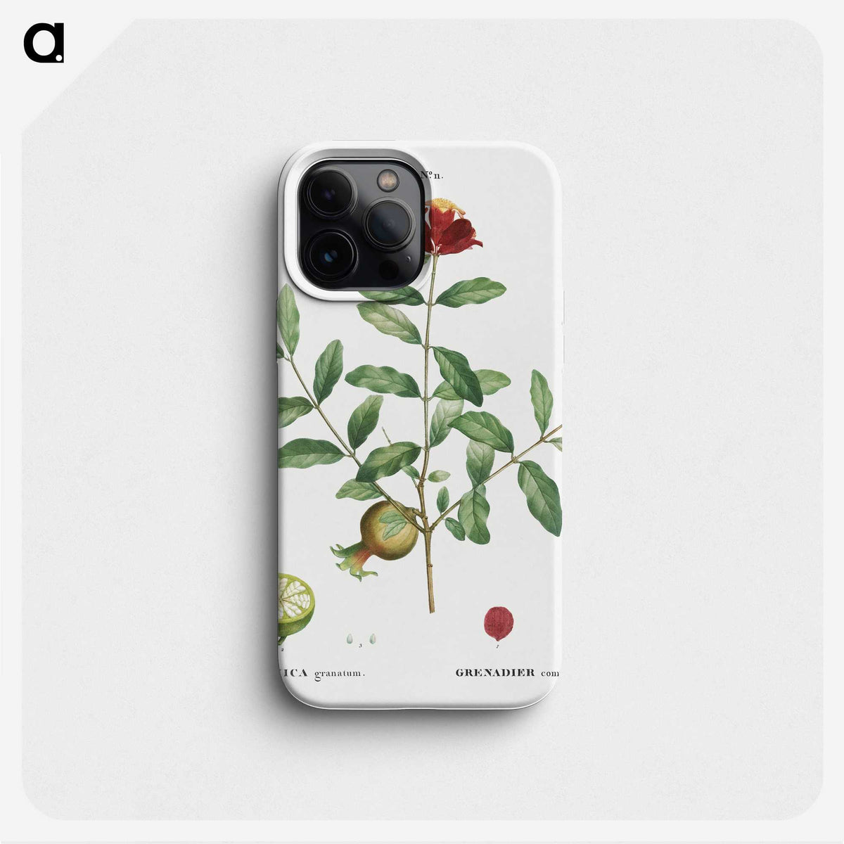 3-34_Treatise-on-Trees-and-Shrubs_phone