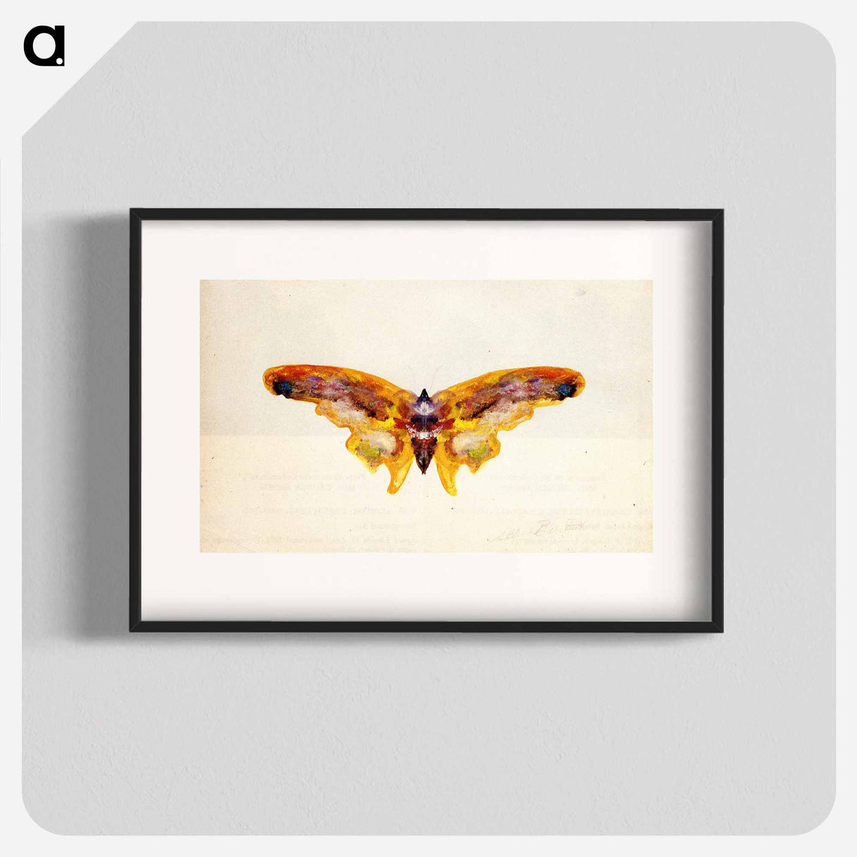 アートポスター-Butterfly - アルバート ビアスタット Poster.